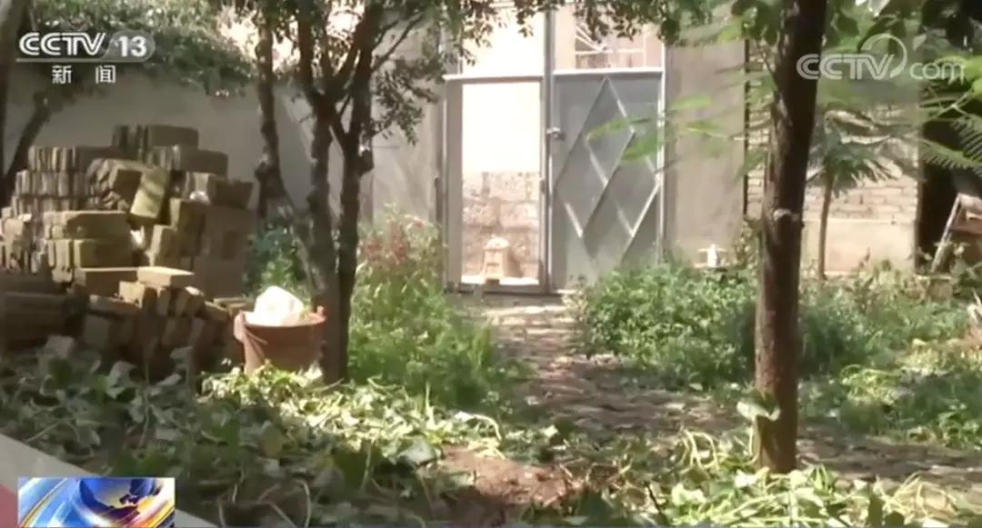正当防卫最新认定，小巷深处的探索之旅