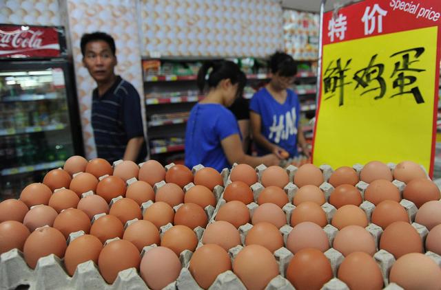 河南今日全国鸡蛋最新价格及分析概述