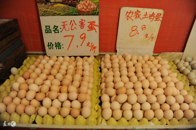 河南今日全国鸡蛋最新价格及分析概述