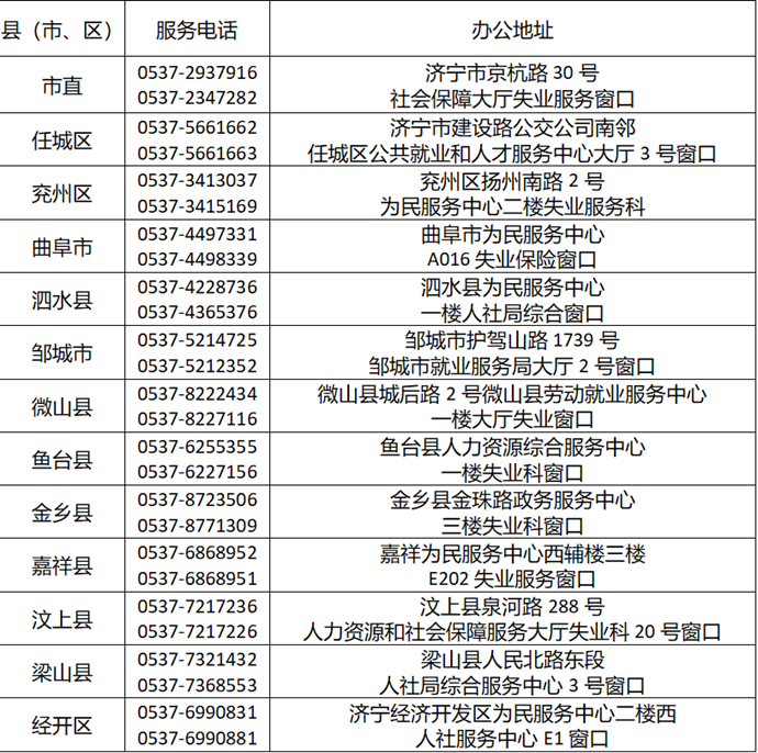 全面解读最新失业补助金政策，申请流程、条件及政策优势分析