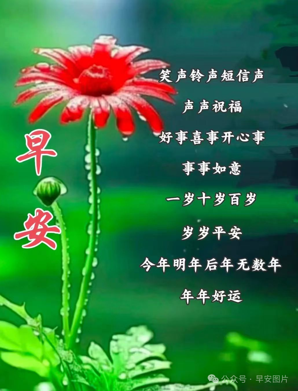 科技唤醒生活的美好瞬间，最新早安图片祝福语