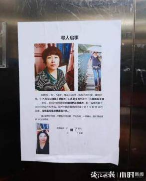 浙江来女士最新动态，拥抱自然，探寻内心宁静与和谐之道