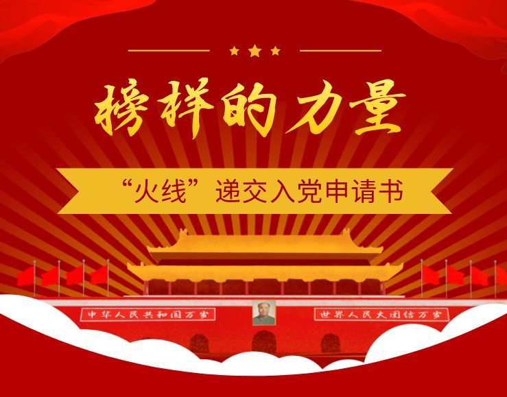 最新党员模范先锋，日常中的温暖与陪伴的力量