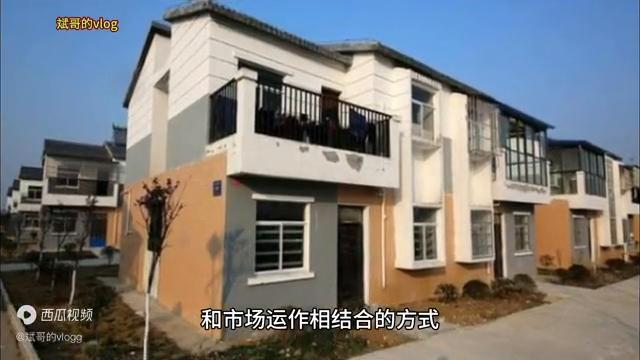 🌟 2024年最新法规解读与概览🌟