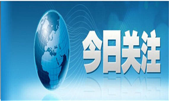 国际今日最新消息，小巷深处的独特风味
