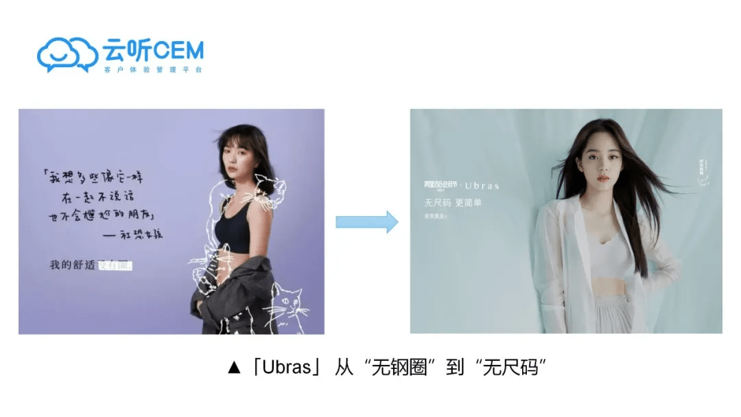 网红最新品牌科技产品亮相，引领潮流新风向
