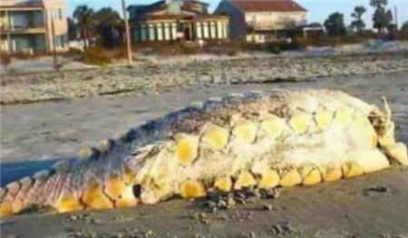 俄罗斯最新型无人机,科技明珠闪耀天际