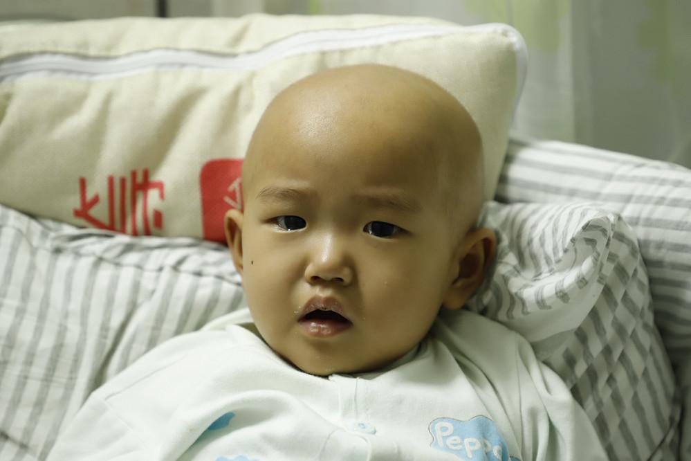 河南郑州废纸最新价格,河南郑州废纸最新价格探析