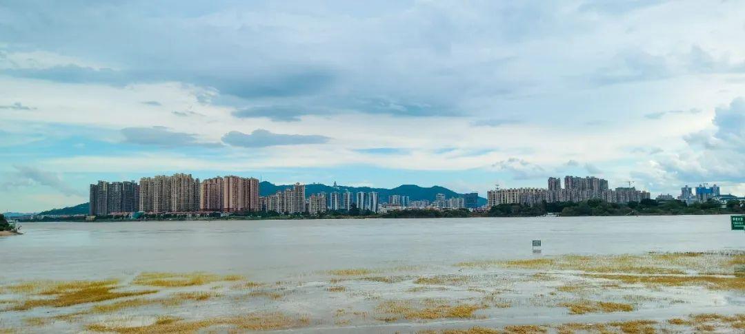 洲尾围生态公园最新发展态势及其影响分析