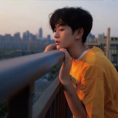 2024年最可爱头像盘点,精选与论述