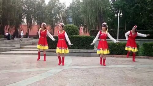 2024年最新广场舞视频,2024年最新广场舞视频,时代风潮下的多元解读