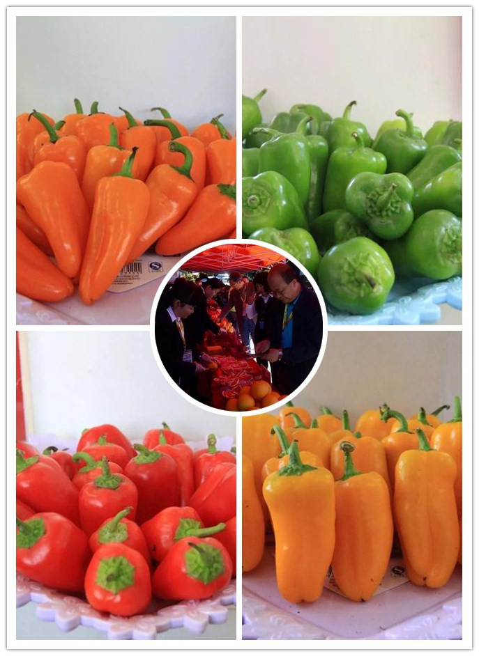 中国最新特色农产品的探析与展示