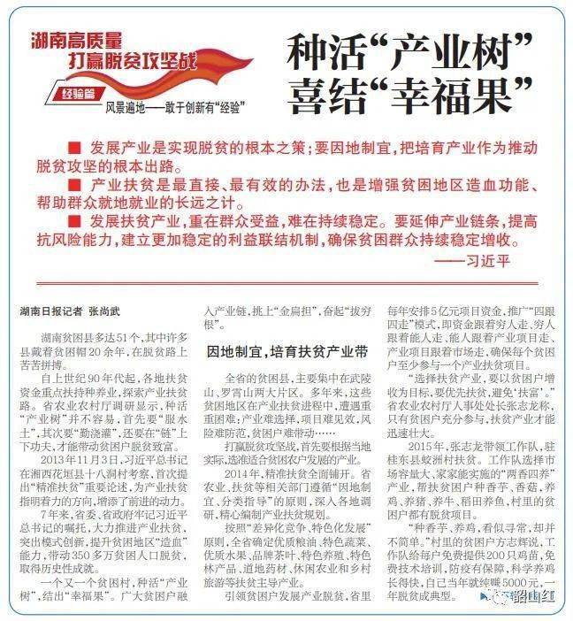 脱贫攻坚最新进展与小径深处的特色小店,脱贫攻坚路上的新亮点