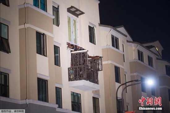 一租公寓最新事件，温馨小窝的奇妙日常揭秘