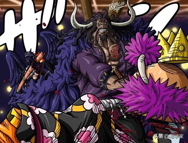 大蛇最新动态及巷弄深处的独特小店揭秘