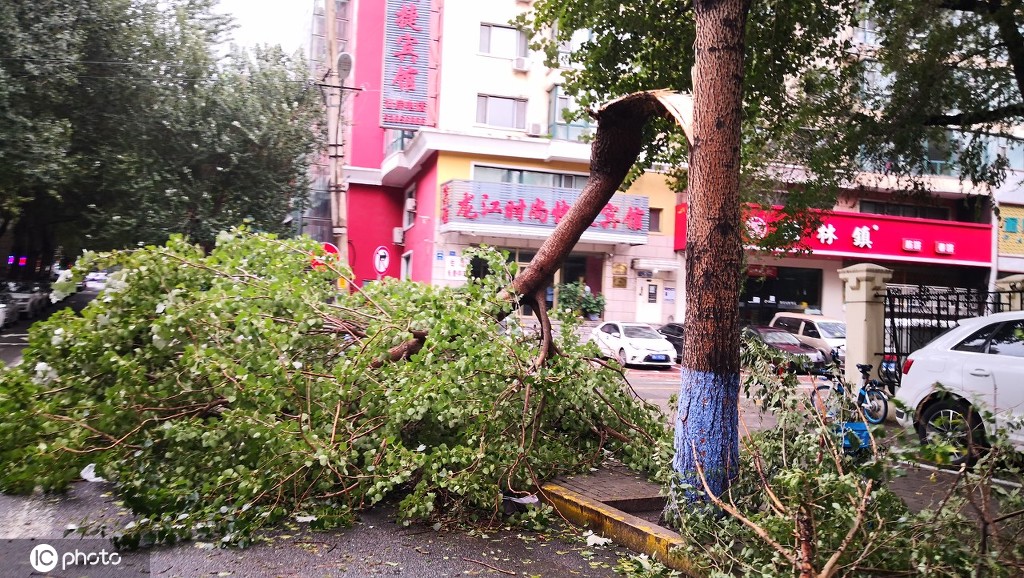 最新台风美莎克对哈尔滨的影响