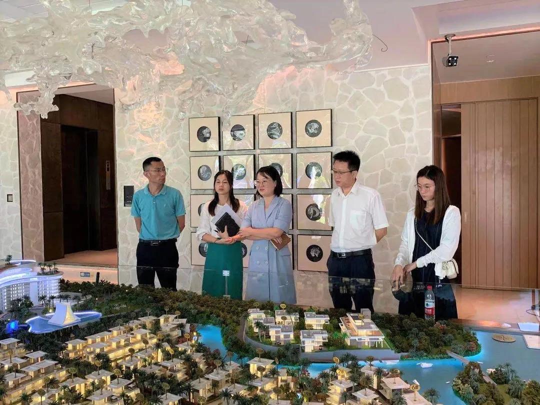 国美最新进展及其观点论述解析