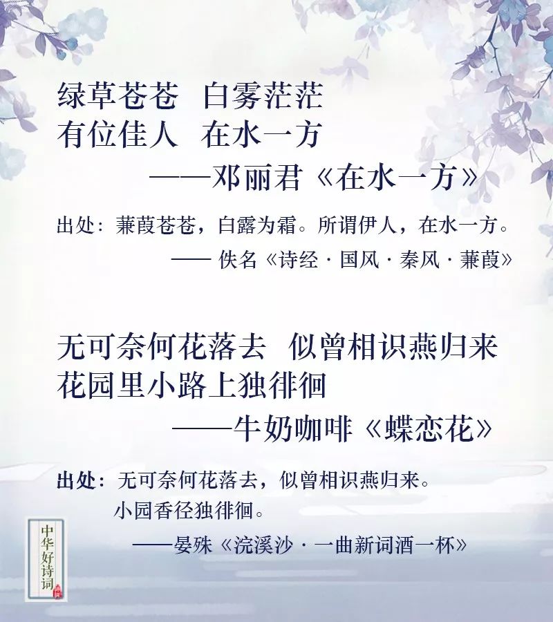 时代旋律与文化传承,最新古诗词歌曲推荐