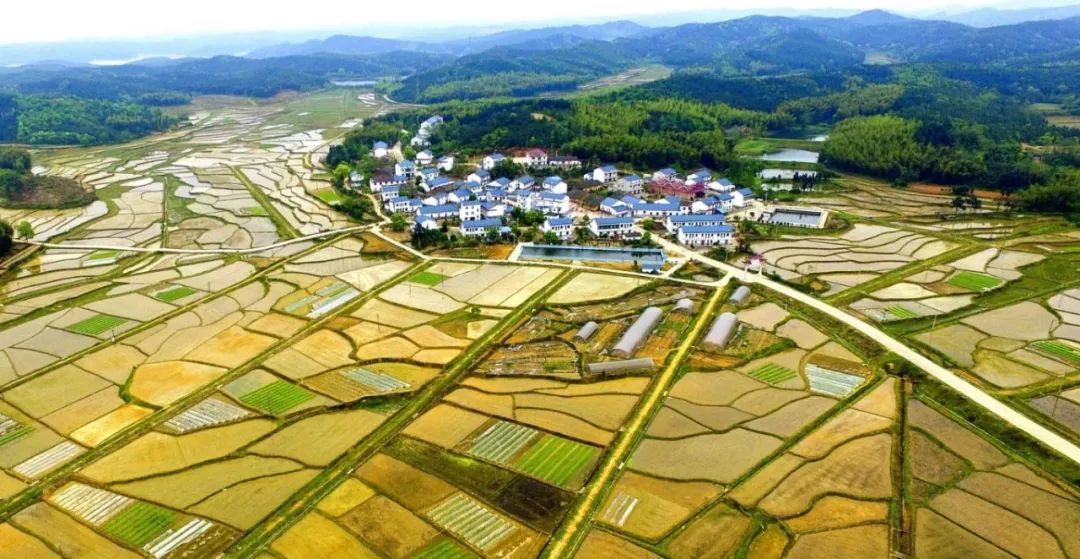 八景镇最新房价信息，科技驱动房产市场，智慧生活新篇章开启
