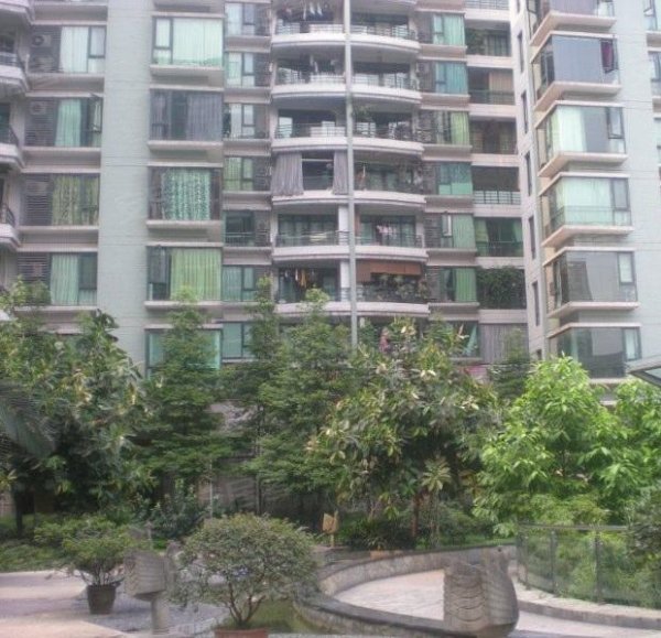 清迈租房信息,清迈租房奇遇,家的温馨与友情的纽带