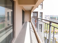 吴江滨河名墅最新房价揭秘,小巷深处的惊喜探索