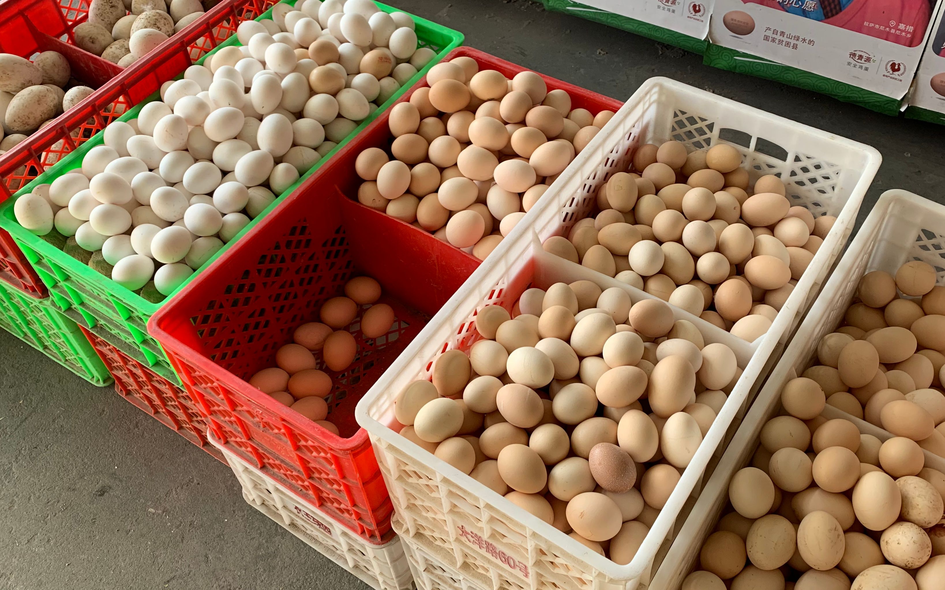今日宜昌鸡蛋行情,今日宜昌鸡蛋行情论述