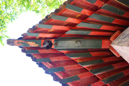 探访巷弄间的独特飞檐风情,小巷深处的特色小店最新资讯