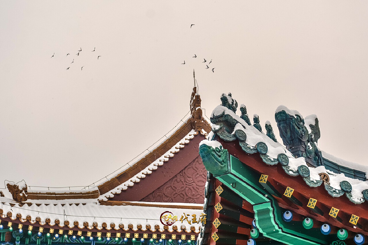 探访巷弄间的独特飞檐风情,小巷深处的特色小店最新资讯