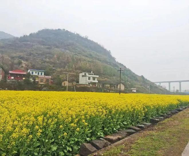 芦江水库最新动态，全面指南