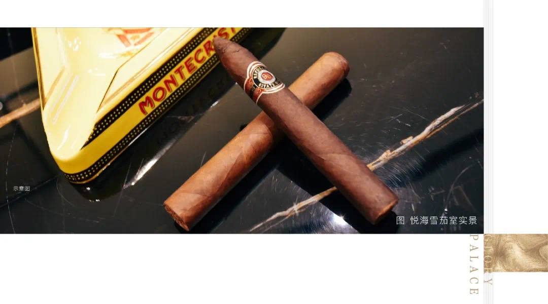 雪茄资讯,一场自然美景的轻松探索之旅