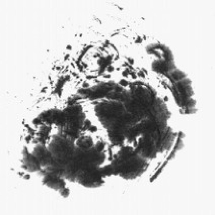 最新墨迹界面，触摸未来科技之窗，重塑生活体验