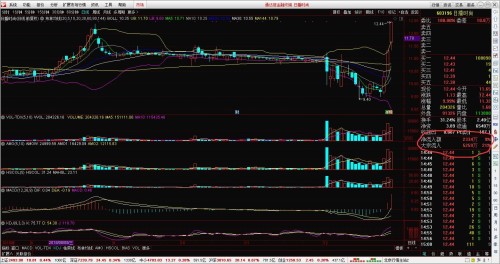 股市术语解读,股票中的S代表什么深层含义?