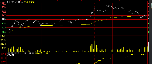 填权行情启动时间,一场关于学习与变化励志之旅的开启