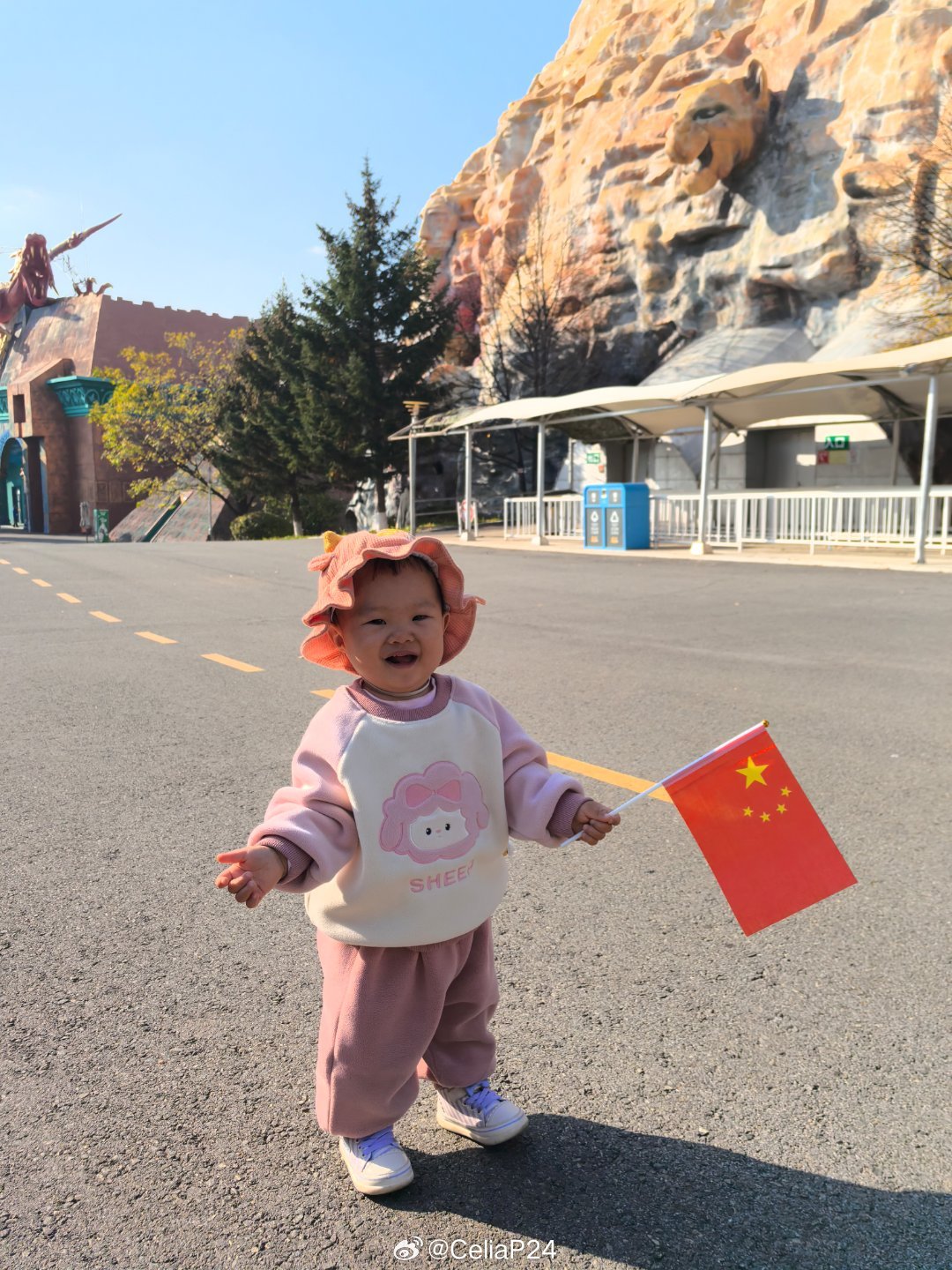 最新战旗萌娃视频,聚焦成长瞬间,展现战旗文化与萌娃交融之美