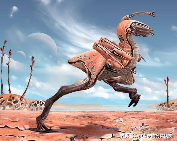 最新奇幻物种,探索与争议的焦点