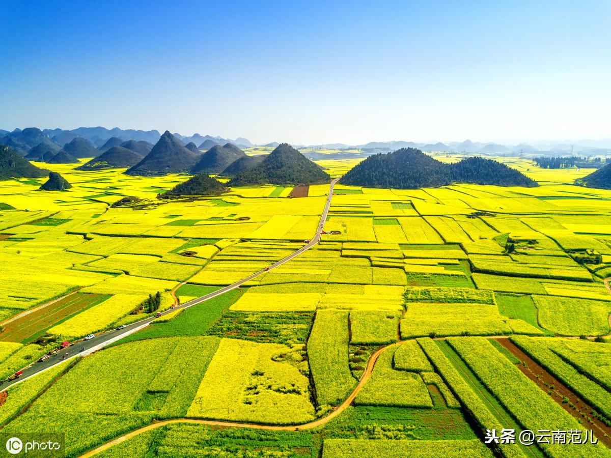 最新广场舞油菜花之恋