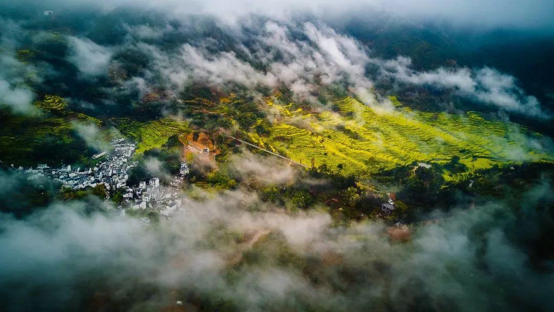 最新广场舞油菜花之恋