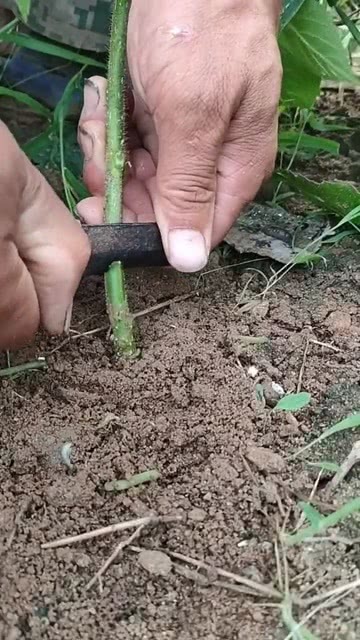 技术咨询 第365页