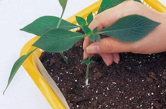 科技重塑生活,未来智能新品嫁接体验的未来趋势