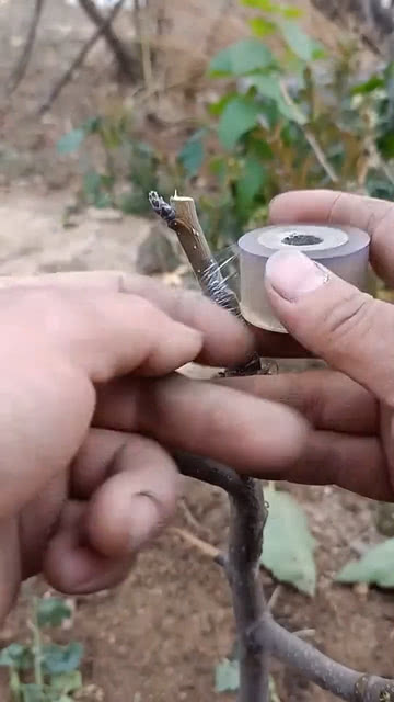 科技重塑生活,未来智能新品嫁接体验的未来趋势