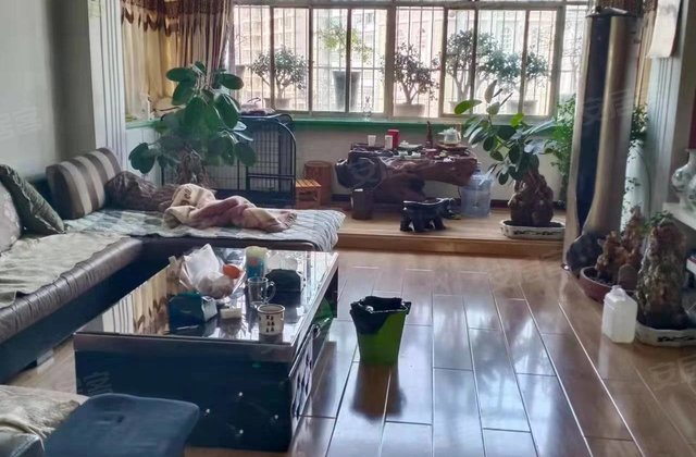 宕昌县最新房价概览,市场趋势与概述分析