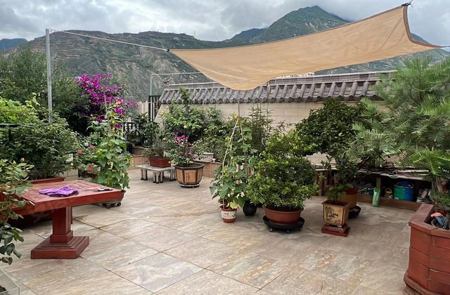 宕昌县最新房价概览,市场趋势与概述分析