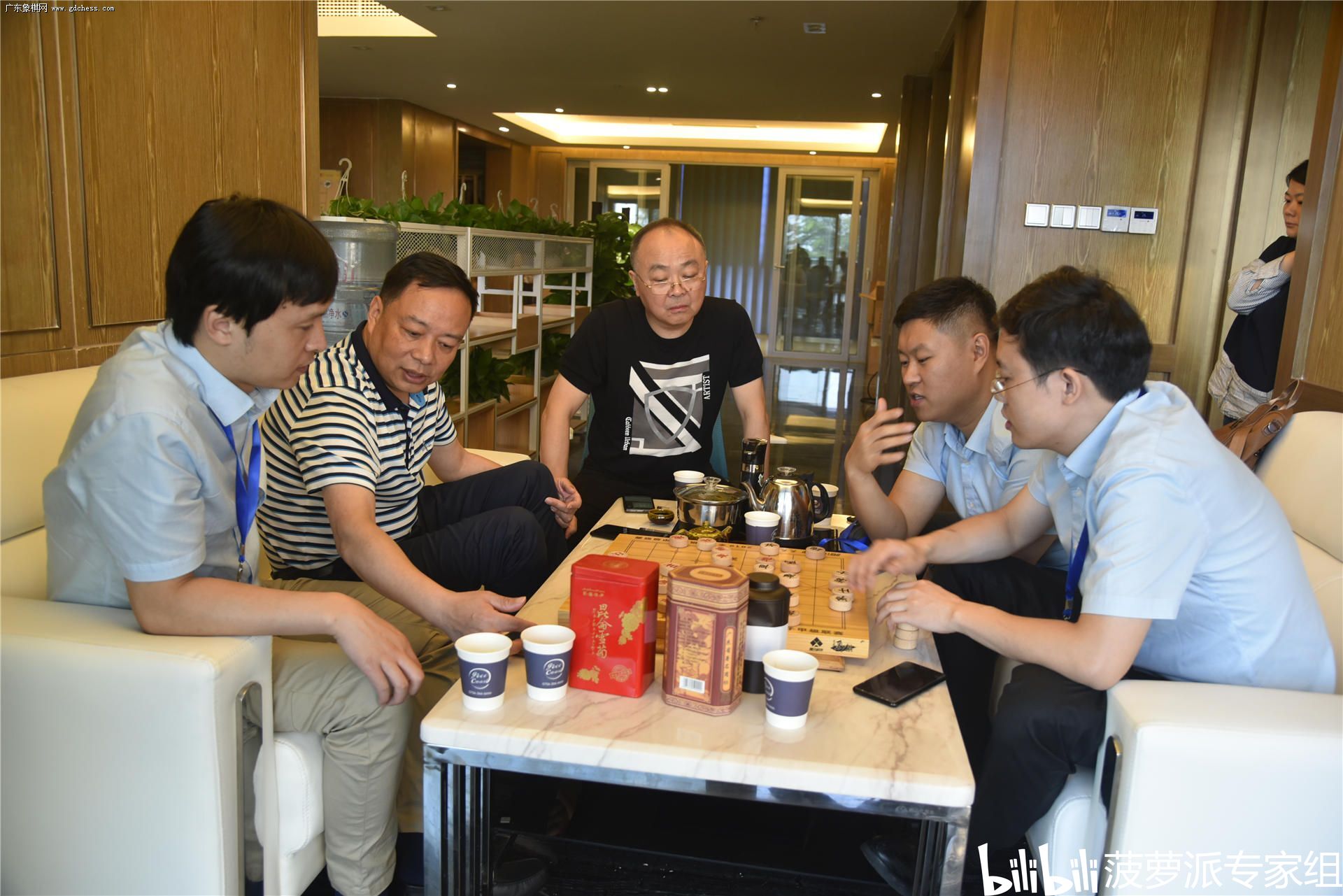 新浪象棋新闻速递,科技与传统智慧的交融之道