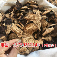 新会陈皮，心灵之旅与价格之谜