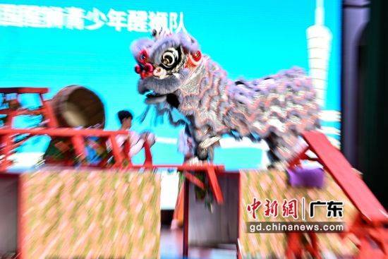 醒狮比赛,传统与活力的完美交融