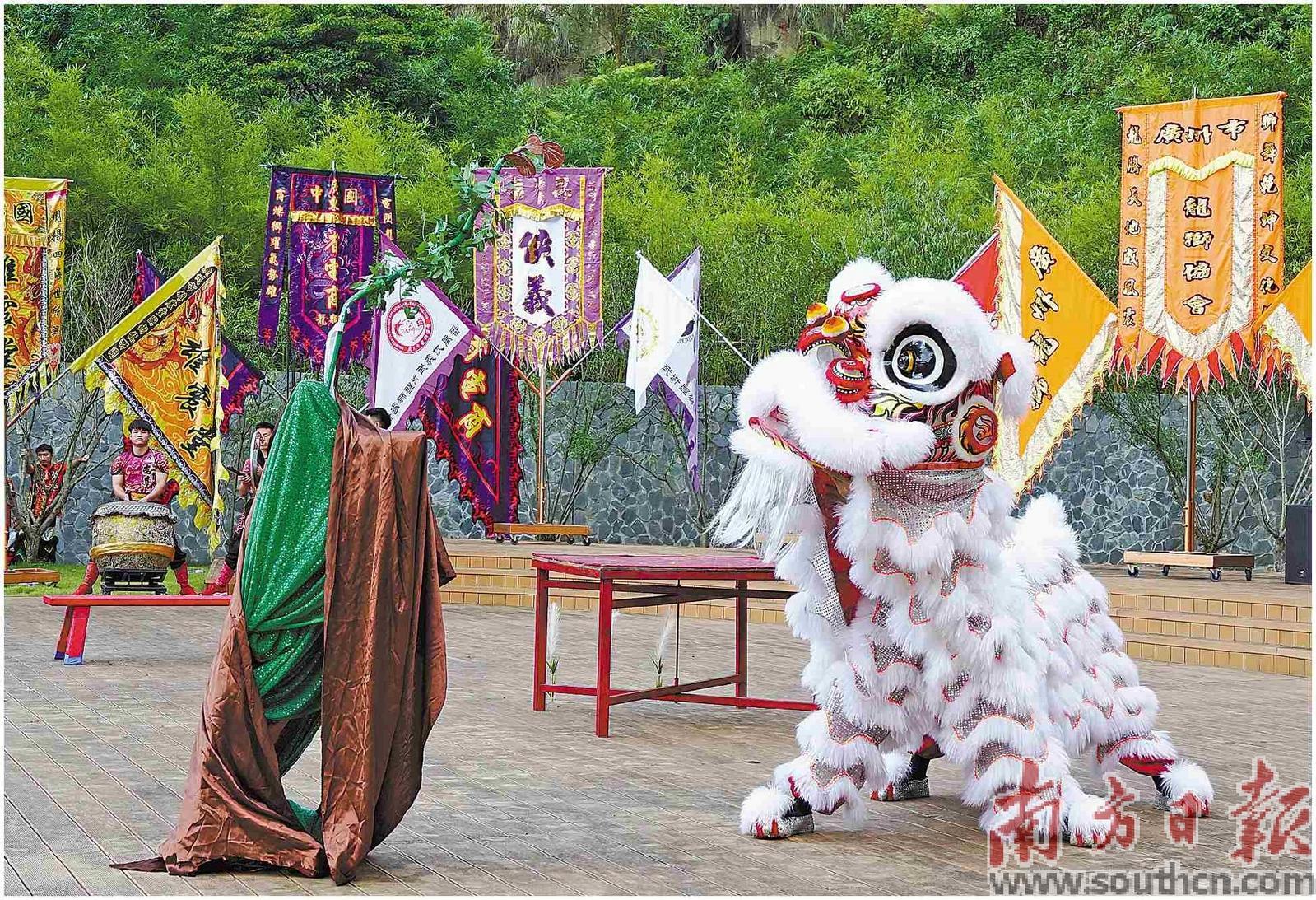 醒狮比赛,传统与活力的完美交融