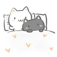 情侣头像动漫猫,自然美景下的心灵之旅之猫耳浪漫之旅