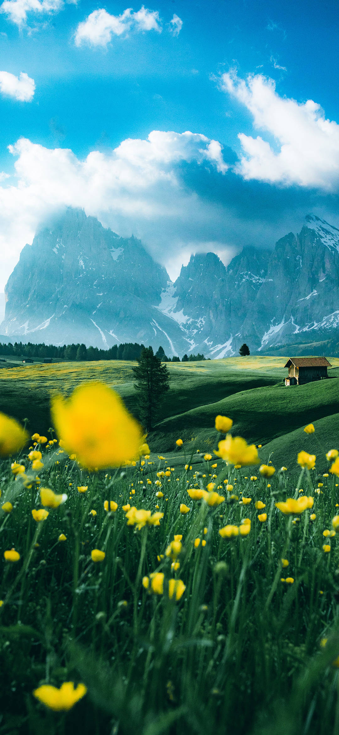 最新美图推荐,火热美图,不容错过!