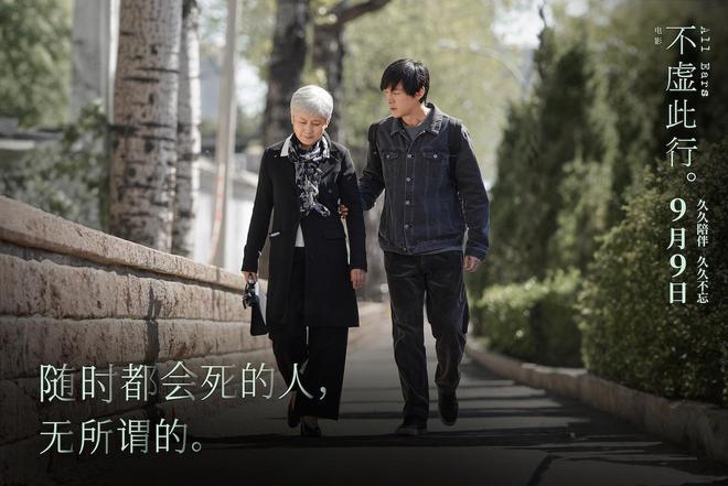 不虚此行电影，视觉与情感的完美融合盛宴
