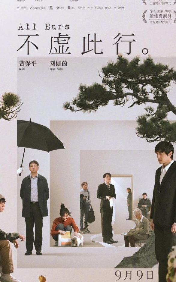 不虚此行电影,视觉与情感的完美融合盛宴